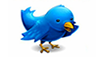 Twitter hat einen Vogel