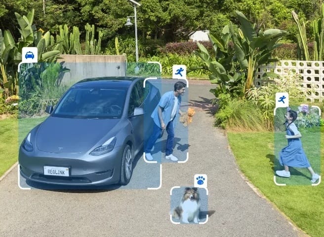 Die KI Erkennung des Reolink Argus 4 Pro erkennt Autos, Kinder, Tiere und mehr