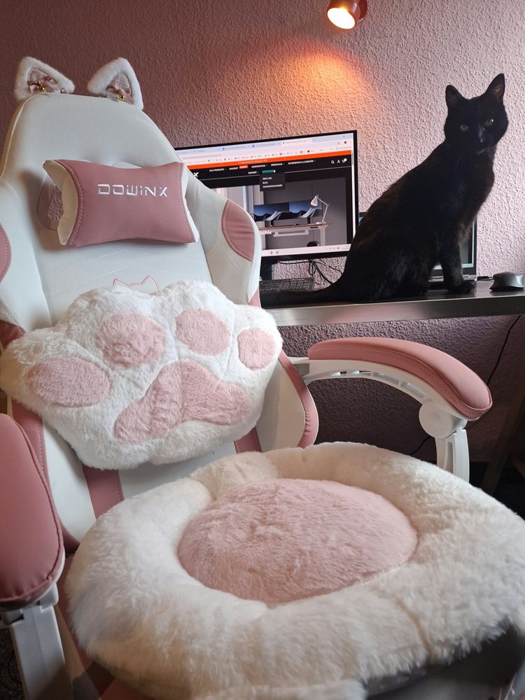 Dowinx Cat Paw Serie LS-66D52 im Test beim langen sitze
